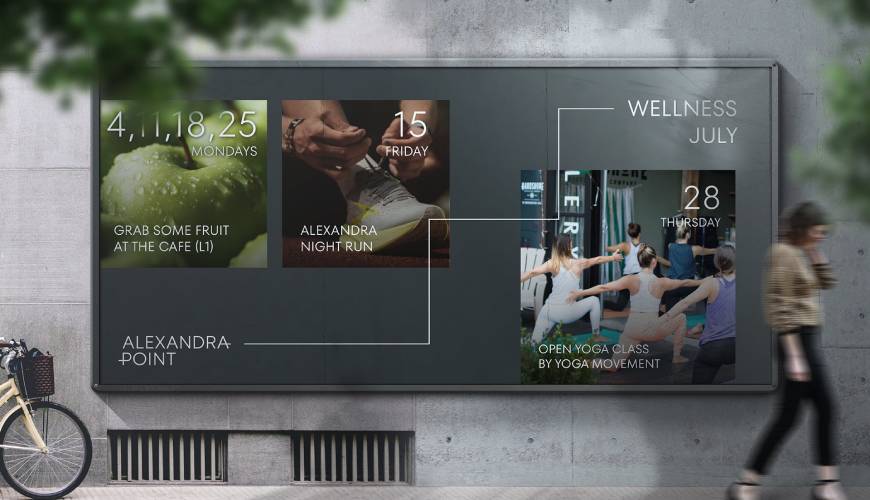 黄平县画册设计公司如何进行品牌审核